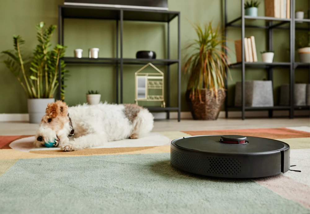 robot vacuum cleaner with docking station