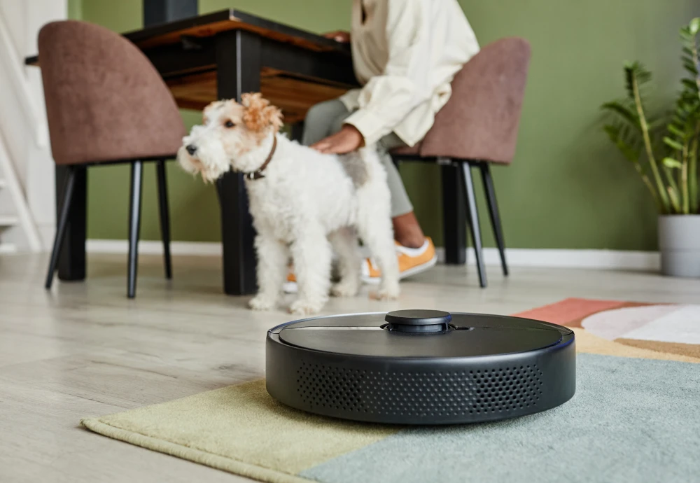 what's the best robot vacuum cleaner to buy